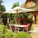 Luxurious No 7 Tating